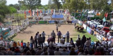 INTENSOS PREPARATIVOS PARA LA GRAN FIESTA DE LA 75° EXPO RURAL SAN LUIS