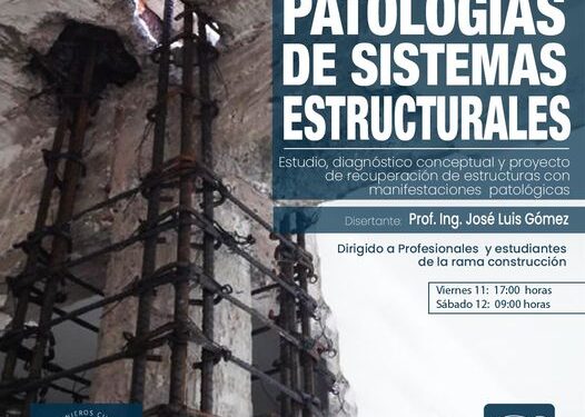 COLEGIO DE ARQUITECTOS: PATOLOGÍAS DE SISTEMAS ESTRUCTURALES