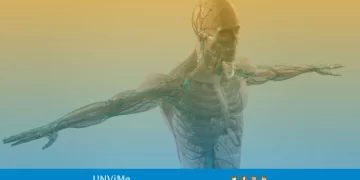 ORGANIZAN ENCUENTRO INTERASIGNATURAS DE ANATOMÍA DE LA UNVIME