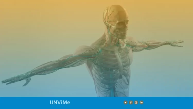 ORGANIZAN ENCUENTRO INTERASIGNATURAS DE ANATOMÍA DE LA UNVIME