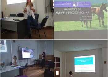 UCCUYO: EL LABORATORIO DEL CAMPO EXPUSO SOBRE ANEMIA INFECCIOSA EQUINA
