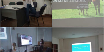 UCCUYO: EL LABORATORIO DEL CAMPO EXPUSO SOBRE ANEMIA INFECCIOSA EQUINA