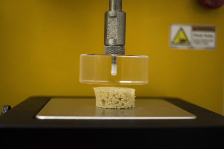 DE QUINOA, CON MUCHA FIBRA Y APTO PARA PERSONAS CON CELIAQUÍA: EL PAN QUE ENSAYA UN EQUIPO DEL CONICET