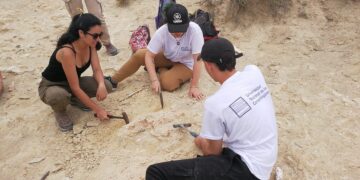 ESTUDIANTES Y DOCENTES DE LA CARRERA DE PALEONTOLOGÍA DE LA UNLC REALIZARON UN VIAJE DE FORMACIÓN A PUERTO MADRYN
