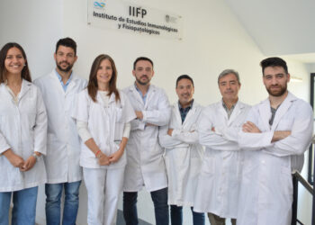 EL APORTE CLAVE DE ESPECIALISTAS DEL CONICET EN EL PRIMER TRASPLANTE DE INTESTINO EN ASISTOLIA A NIVEL MUNDIAL
