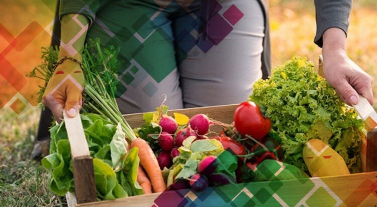 LA MAESTRÍA EN CIENCIA Y TECNOLOGÍA DE AGROALIMENTOS FUE ACREDITADA POR NACIÓN