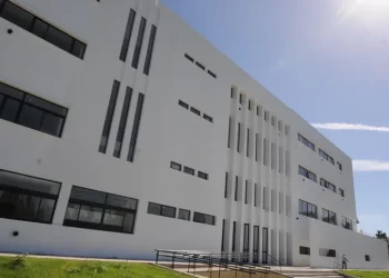 RANKING DE UNIVERSIDADES: CUÁLES SON LAS CARRERAS MÁS ELEGIDAS EN 2023