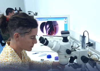 DESTACAN EN CHILE EL TRABAJO DE UNA DOCENTE DE LA UNLC