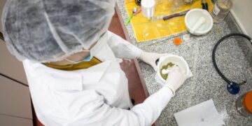 UNSL: PRESENTARON UN PROGRAMA PARA FORTALECER LA CARRERA DE INVESTIGACIÓN CIENTÍFICA UNIVERSITARIA