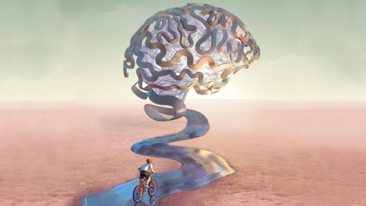 UNA INVESTIGACIÓN DEL CONICET MUESTRA QUE 25 MINUTOS DE ACTIVIDAD FÍSICA MEJORAN LA MEMORIA ESPACIAL