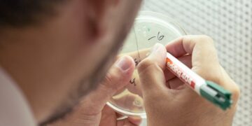 UNSL: CONVOCAN A LA CATEGORIZACIÓN DE DOCENTES INVESTIGADORES UNIVERSITARIOS