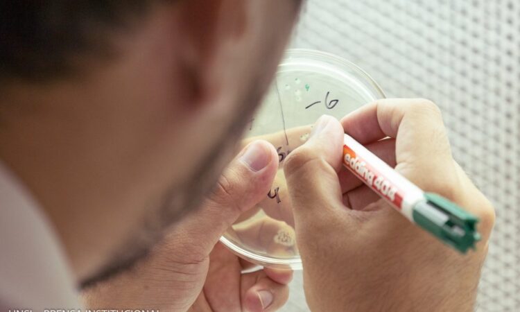 UNSL: CONVOCAN A LA CATEGORIZACIÓN DE DOCENTES INVESTIGADORES UNIVERSITARIOS