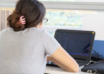 UNSL: LANZAN MICROCURSOS VIRTUALES PARA DOCENTES Y ESTUDIANTES DE LA PROVINCIA