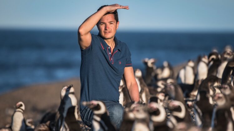 INVESTIGADOR DEL CONICET OBTUVO EL PRINCIPAL PREMIO MUNDIAL A LA CONSERVACIÓN ANIMAL