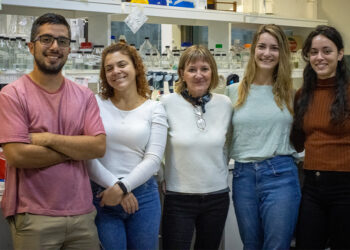 CONICET: REALIZAN UN NUEVO DESCUBRIMIENTO SOBRE LA REGENERACIÓN DE NEURONAS