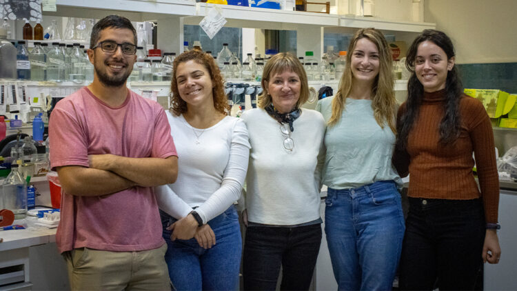 CONICET: REALIZAN UN NUEVO DESCUBRIMIENTO SOBRE LA REGENERACIÓN DE NEURONAS