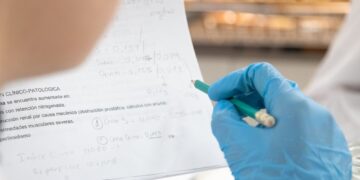 UNSL: CONVOCATORIA A BECAS DE INVESTIGACIÓN CIENTÍFICA Y/O TECNOLÓGICA