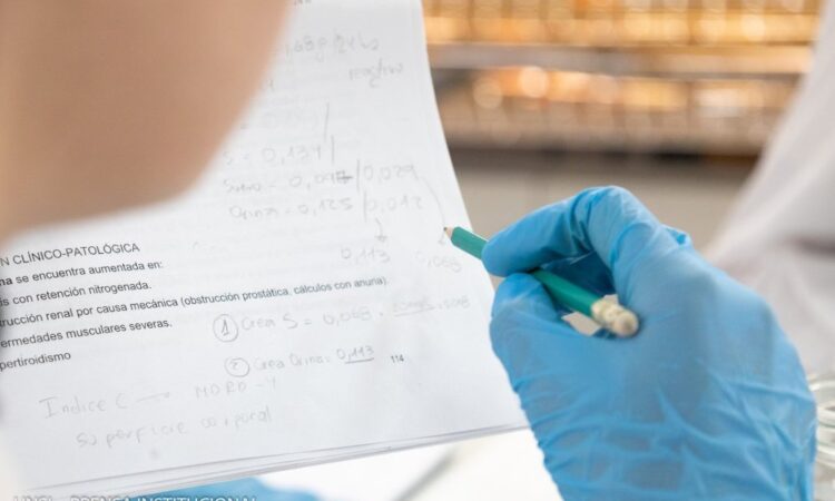 UNSL: CONVOCATORIA A BECAS DE INVESTIGACIÓN CIENTÍFICA Y/O TECNOLÓGICA