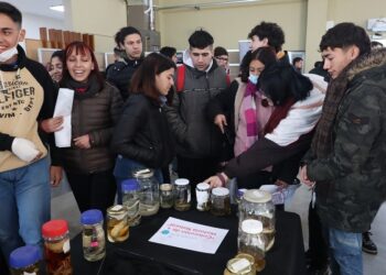 LLEGA LA 7MA EDICIÓN DE LA JORNADA DE PUERTAS ABIERTAS DE LA UNLC