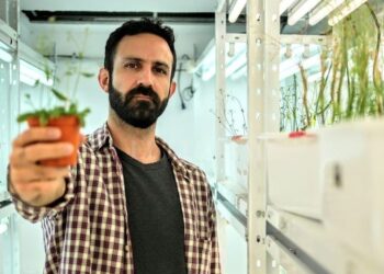 INVESTIGADOR DEL CONICET GANÓ EL UNESCO – AL-FOZAN INTERNATIONAL PRIZE, PREMIO DEDICADO A JÓVENES INVESTIGADORES