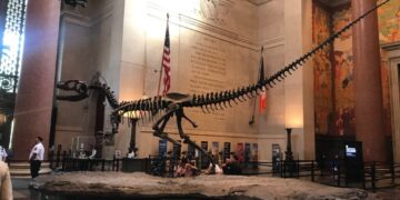 LA UNLC INICIA COOPERACIÓN CON EL MUSEO AMERICANO DE HISTORIA NATURAL DE EE.UU.