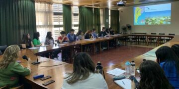UNSL: DOCENTES INTERNACIONALIZAN SU CURRÍCULO A TRAVÉS DE CLASES ESPEJO
