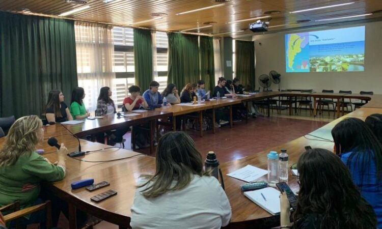 UNSL: DOCENTES INTERNACIONALIZAN SU CURRÍCULO A TRAVÉS DE CLASES ESPEJO