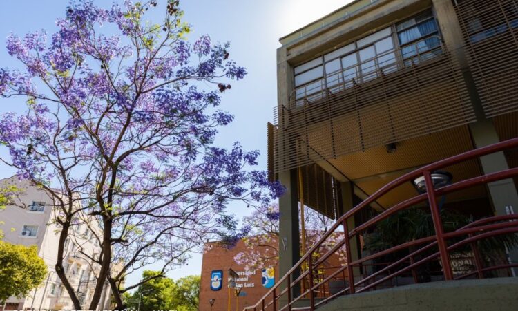 UNSL: CONVOCAN A PRESENTAR PROYECTOS DE EXTENSIÓN DE INTERÉS SOCIAL