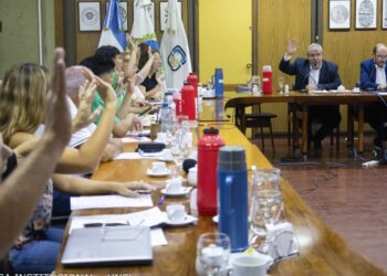 UNSL: APROBARON NUEVOS LINEAMIENTOS ACADÉMICOS
