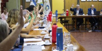 UNSL: APROBARON NUEVOS LINEAMIENTOS ACADÉMICOS