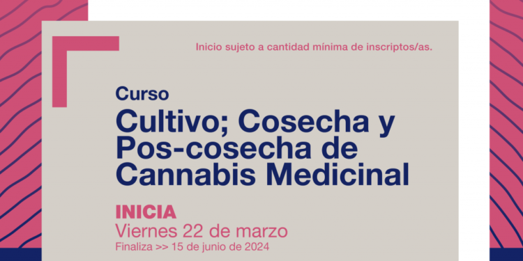 LA ESCUELA DE EDUCACIÓN PROFESIONAL UNLC DICTARÁ UN CURSO DE CULTIVO, COSECHA Y POS COSECHA DE CÁNNABIS MEDICINAL