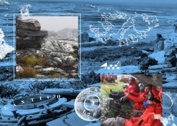 JUNTO A VETERANOS DE GUERRA, ESPECIALISTAS DEL CONICET REALIZARON LA PRIMERA CAMPAÑA ARQUEOLÓGICA EN LAS ISLAS MALVINAS