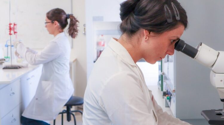 UNLC: ESTÁN ABIERTAS LAS INSCRIPCIONES PARA LAS BECAS DE ESTÍMULO A LAS VOCACIONES CIENTÍFICAS