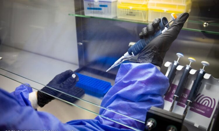 UNSL: CONVOCATORIA A BECAS DEL PROGRAMA DE INVESTIGACIÓN CIENTÍFICA Y/O TECNOLÓGICA