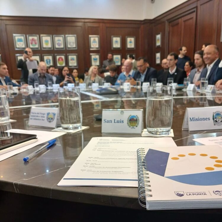 LA UNIVERSIDAD DE LA PUNTA REPRESENTA A SAN LUIS EN LA REUNIÓN PLENARIA DEL CONSEJO FEDERAL DE ECONOMÍA DEL CONOCIMIENTO.