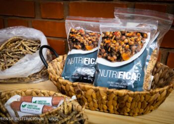 LA UNSL YA TIENE NORMATIVA PARA LA PROMOCIÓN Y REGULACIÓN DE SPIN OFF UNIVERSITARIAS