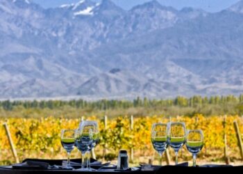 LA UNCUYO, COFUNDADORA DE LA RED LATINOAMERICANA DEL VINO