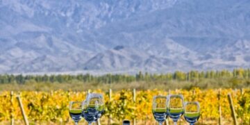 LA UNCUYO, COFUNDADORA DE LA RED LATINOAMERICANA DEL VINO