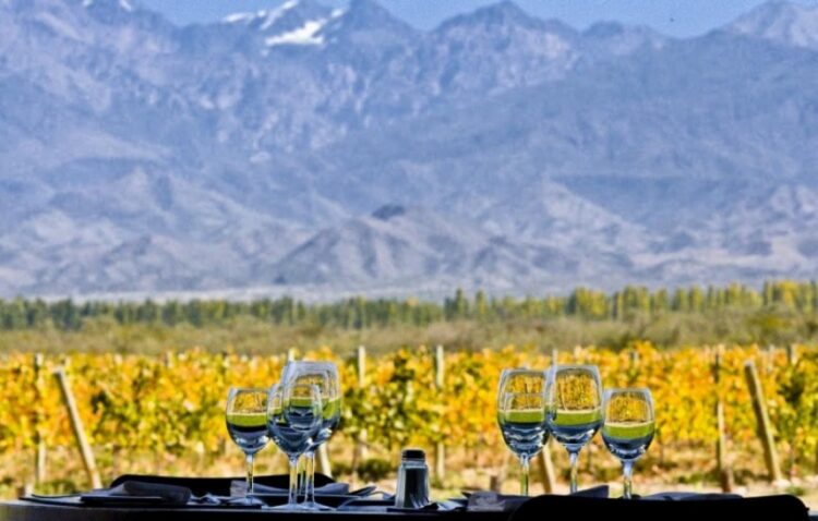 LA UNCUYO, COFUNDADORA DE LA RED LATINOAMERICANA DEL VINO