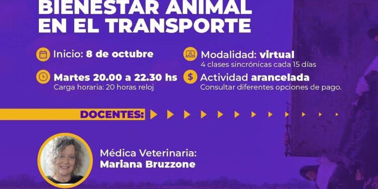 UCCUYO-SL: BIENESTAR ANIMAL EN EL TRANSPORTE