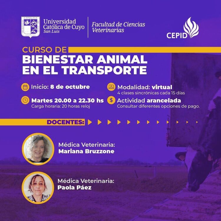 UCCUYO-SL: BIENESTAR ANIMAL EN EL TRANSPORTE