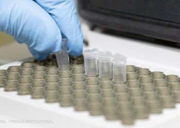 UNSL: INSCRIBEN A CURSO SOBRE BUENAS PRÁCTICAS DE SEGURIDAD EN LABORATORIO QUÍMICO