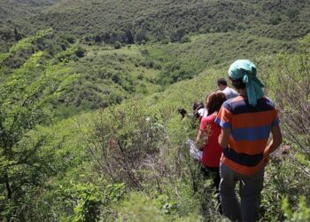 PITSA: CHARLA INFORMATIVA POR CONVOCATORIA A PROYECTOS DE ACCIÓN CONJUNTA EN EL TERRITORIO