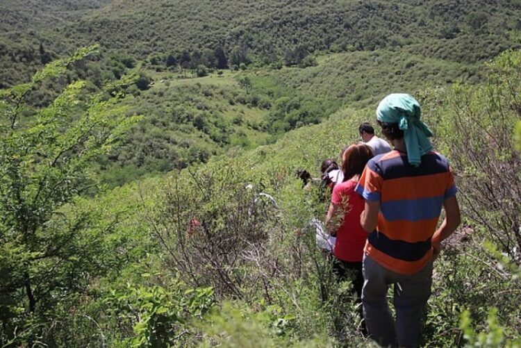 PITSA: CHARLA INFORMATIVA POR CONVOCATORIA A PROYECTOS DE ACCIÓN CONJUNTA EN EL TERRITORIO