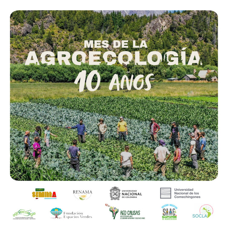 UNLC: EL FUTURO DE LA AGROECOLOGÍA: UNA JORNADA DE TRANSFORMACIÓN Y COLABORACIÓN