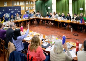 UNSL: EN EL 2025 COMENZARÁ A DICTARSE LA LICENCIATURA EN SEGURIDAD PÚBLICA