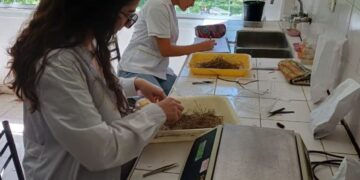 UNVIME: ALUMNAS DE GESTIÓN AMBIENTAL CUMPLEN PASANTÍA EN EL INTA
