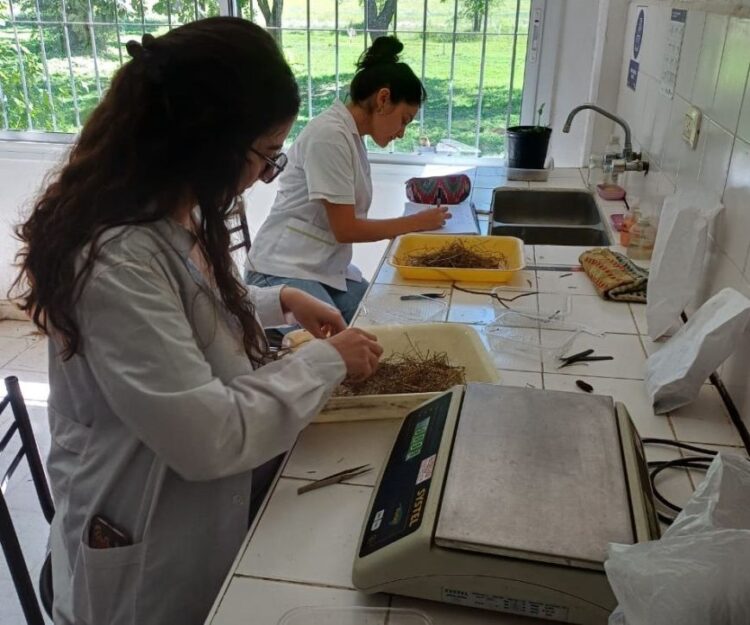UNVIME: ALUMNAS DE GESTIÓN AMBIENTAL CUMPLEN PASANTÍA EN EL INTA