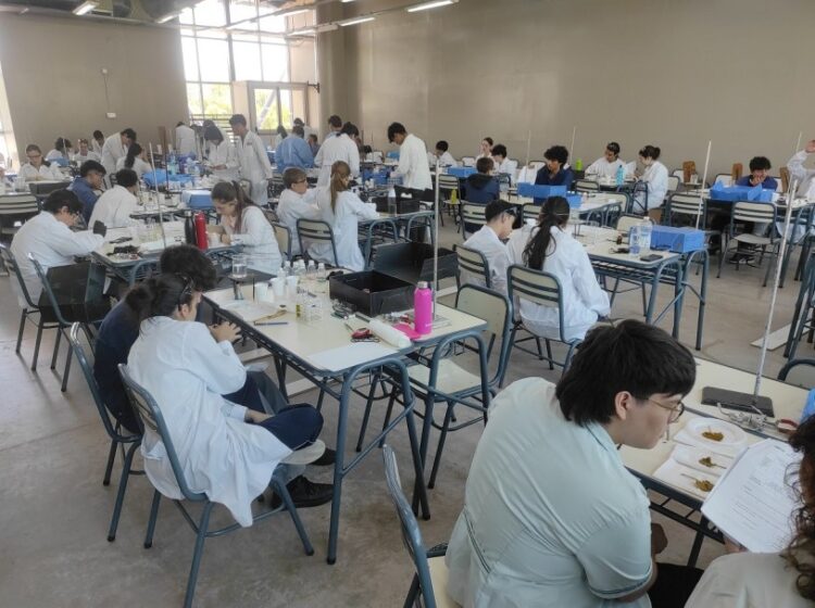 LA OLIMPÍADA ARGENTINA DE CIENCIAS JUNIOR ESTÁ EN MARCHA EN LA UNCUYO