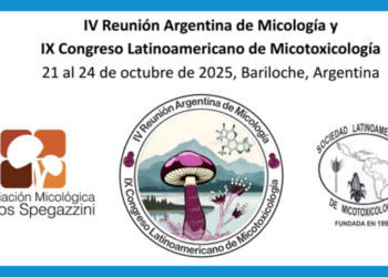 CONICET-SL: REUNIÓN ARGENTINA DE MICOLOGÍA- IX CONGRESO LATINOAMERICANO DE MICOTOXICOLOGÍA